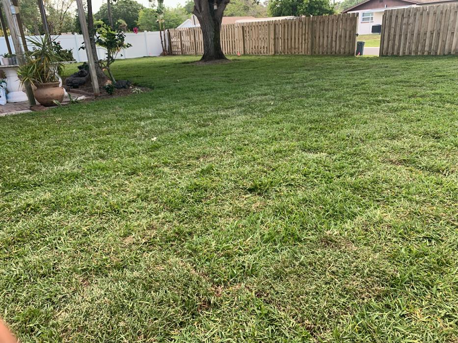 Loyalty Lawn & Landscape - Venice, FL