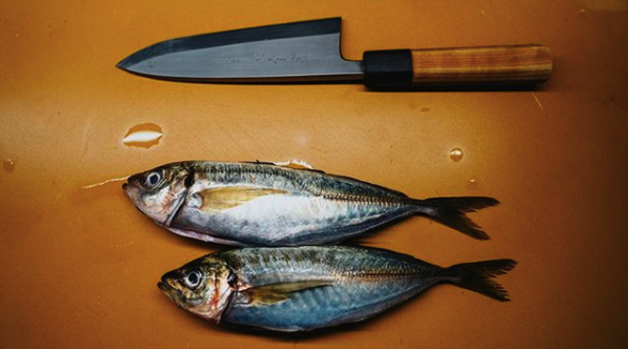 Matsuhisa Denver Image