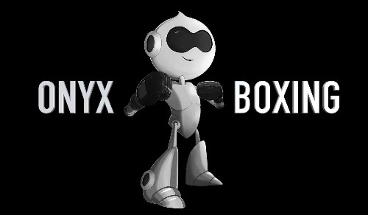 ONYX BOXING - Scottsdale, AZ