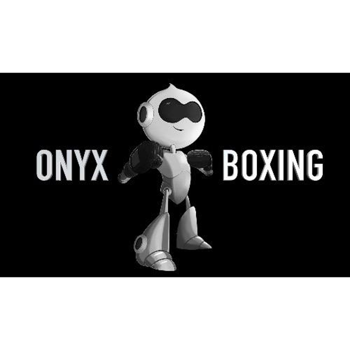 ONYX BOXING - Scottsdale, AZ