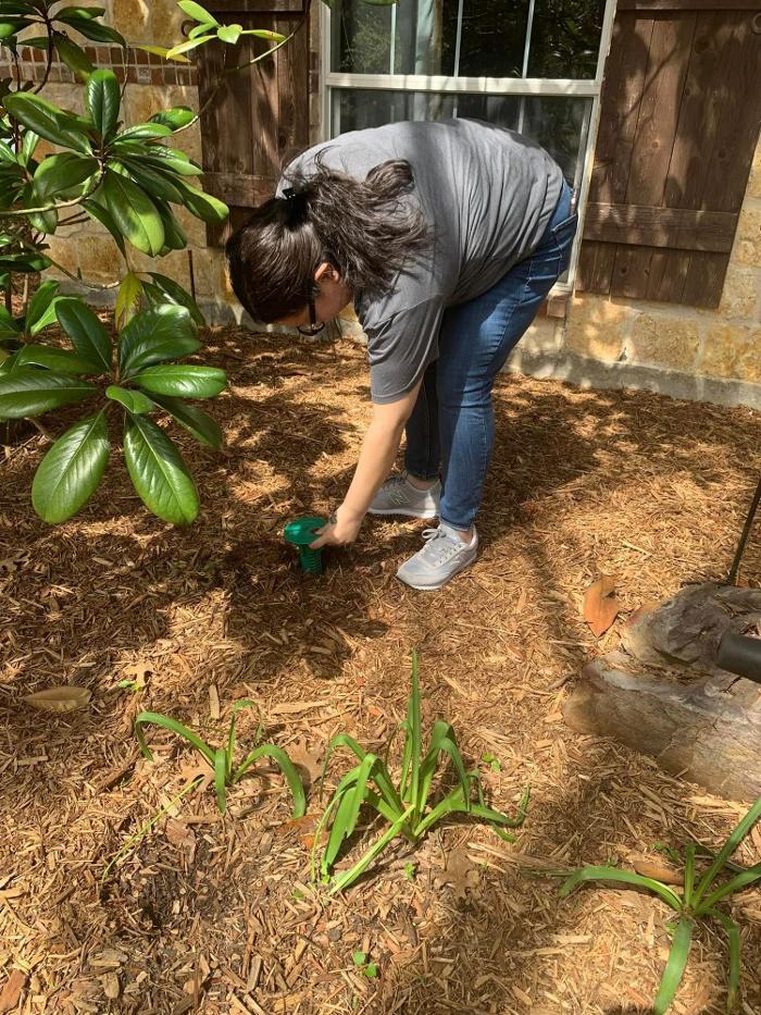 SafeHaven Pest Control Image