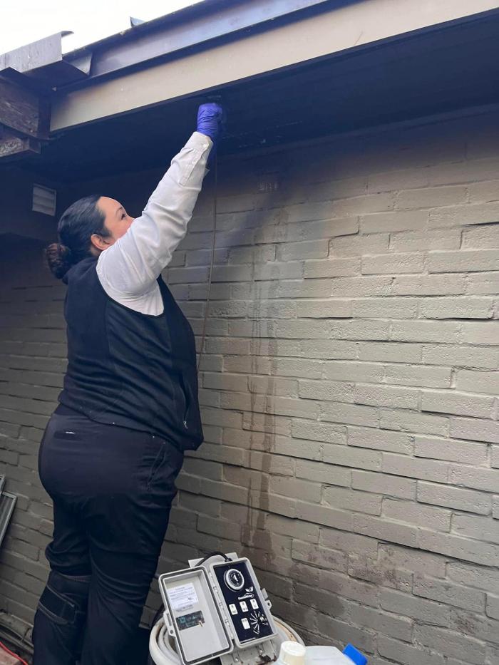 SafeHaven Pest Control Logo