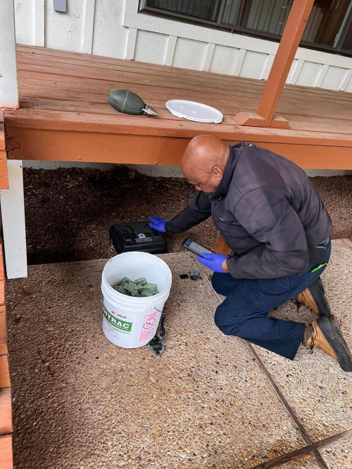 SafeHaven Pest Control Image