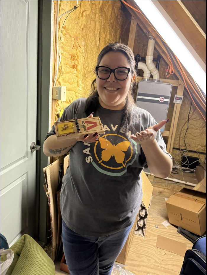 SafeHaven Pest Control Image