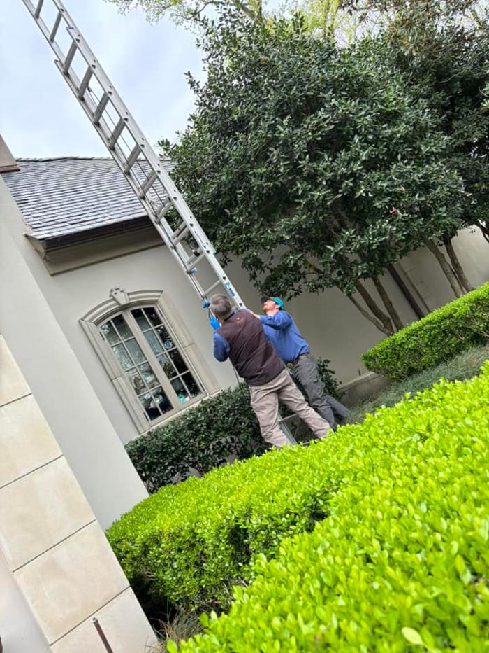 SafeHaven Pest Control Image