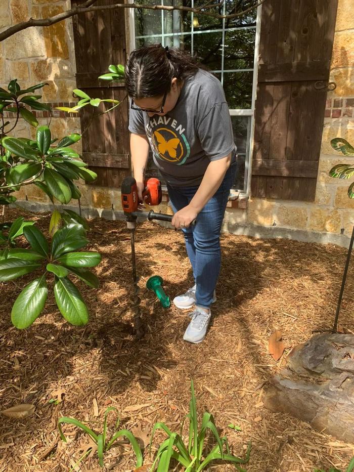 SafeHaven Pest Control Image