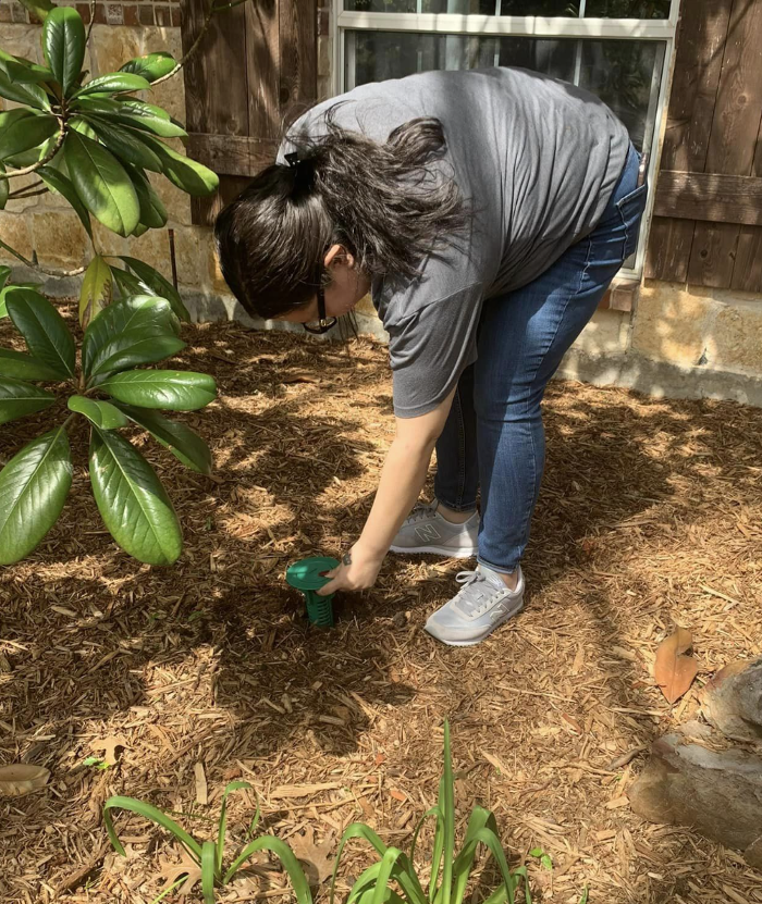 SafeHaven Pest Control Image