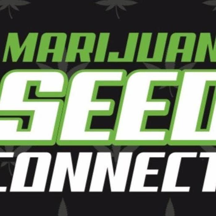 Seed Connect