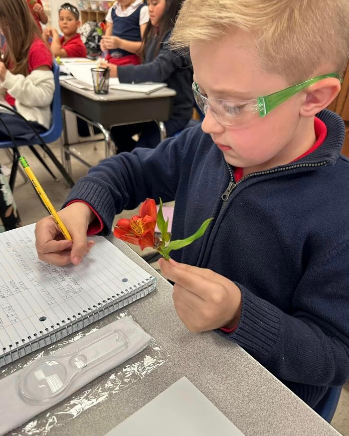 Self Development Academy (Mesa Campus) - Mesa, AZ