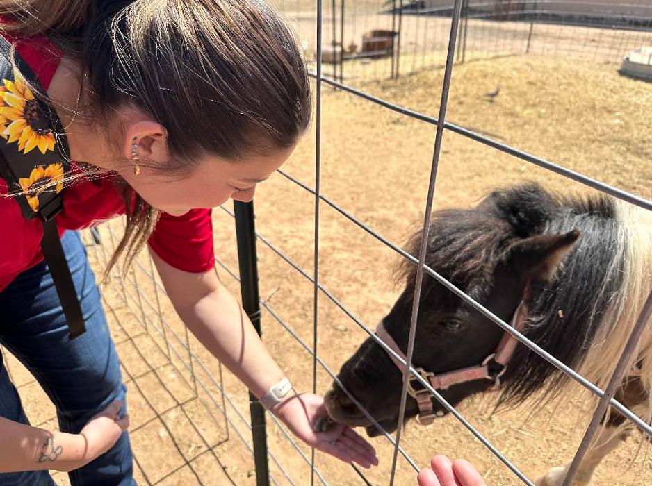 Self Development Academy (Mesa Campus) - Mesa, AZ