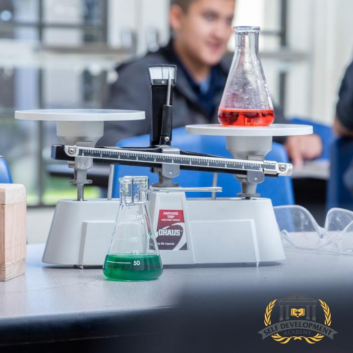 Self Development Academy (Mesa Campus) - Mesa, AZ