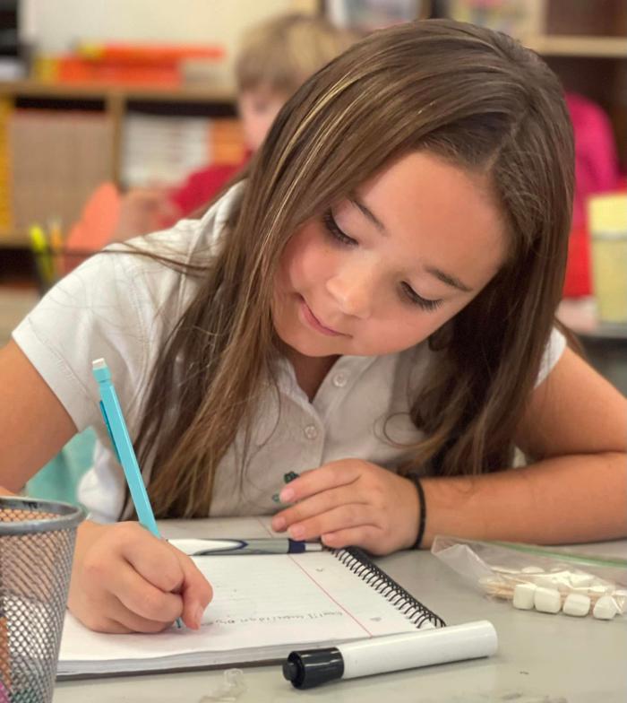 Self Development Academy (Mesa Campus) - Mesa, AZ