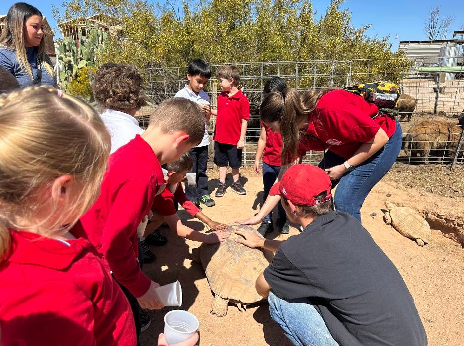 Self Development Academy (Mesa Campus) - Mesa, AZ