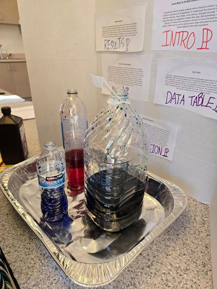 Self Development Academy (Mesa Campus) - Mesa, AZ