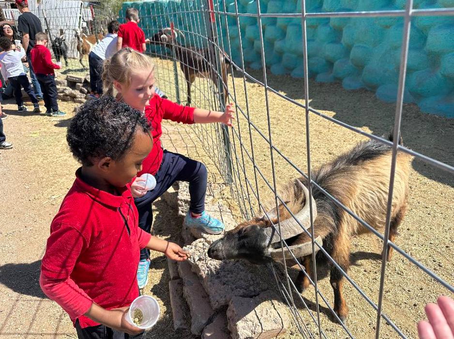 Self Development Academy (Mesa Campus) - Mesa, AZ