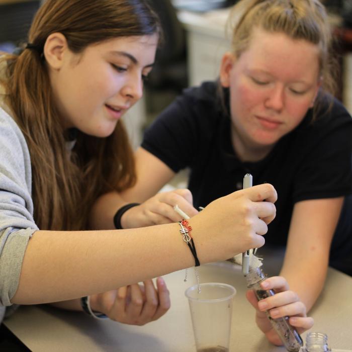 Self Development Academy (Mesa Campus) - Mesa, AZ