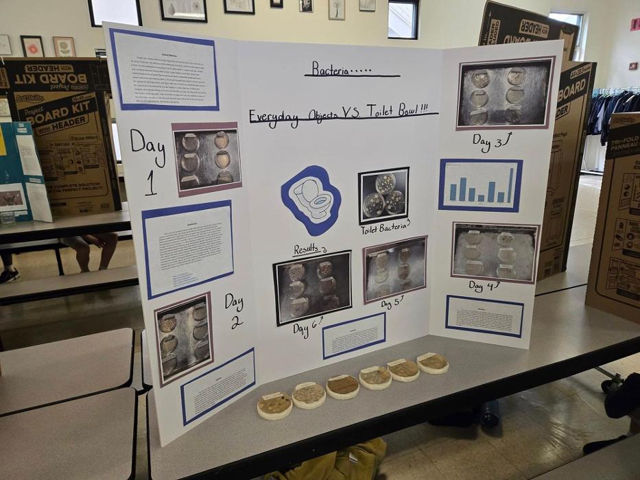 Self Development Academy (Mesa Campus) - Mesa, AZ