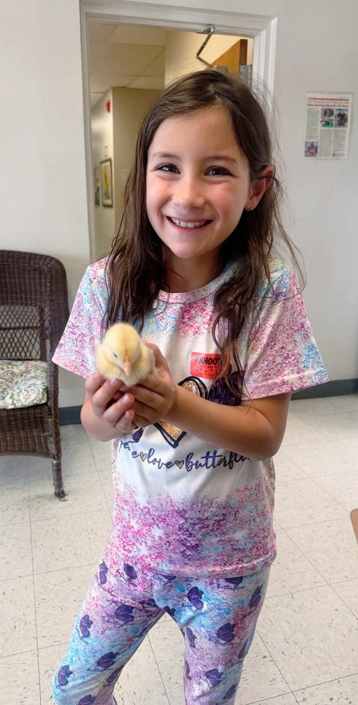 Self Development Academy (Mesa Campus) - Mesa, AZ