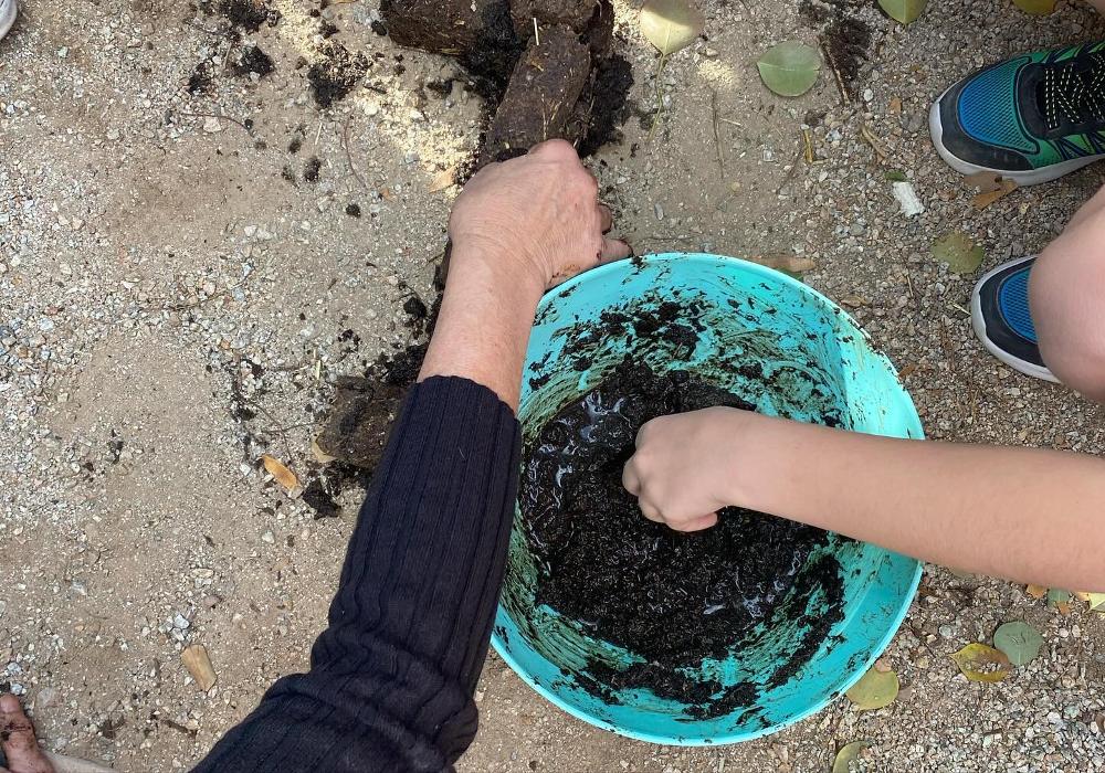 Self Development Academy (Mesa Campus) - Mesa, AZ