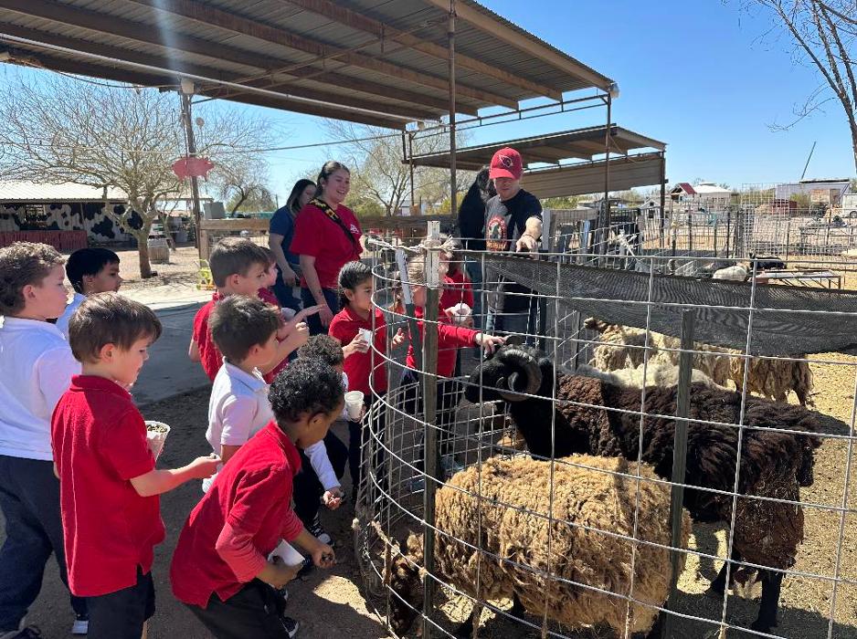 Self Development Academy (Mesa Campus) - Mesa, AZ