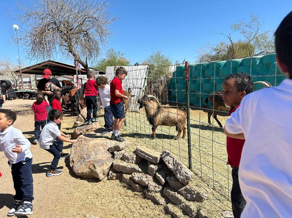 Self Development Academy (Mesa Campus) - Mesa, AZ