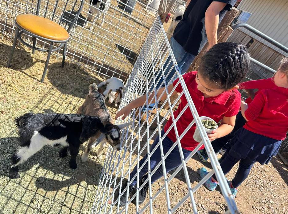 Self Development Academy (Mesa Campus) - Mesa, AZ