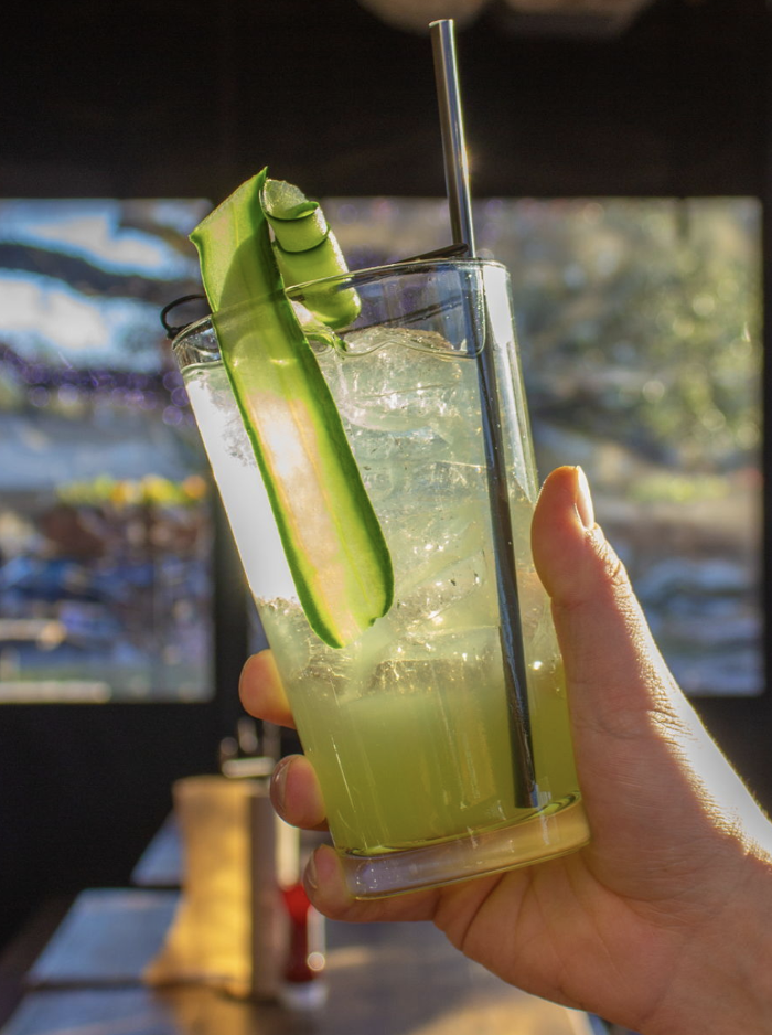 Shady's Burgers & Brewhaha Image