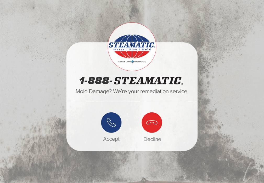 Steamatic of Fargo - Fargo, ND