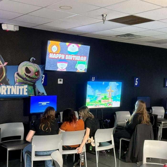 The Gaming Zone Image