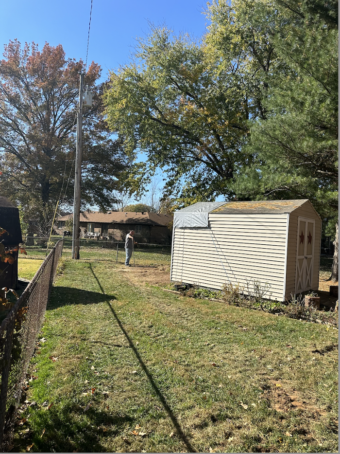 The Tree Company Image