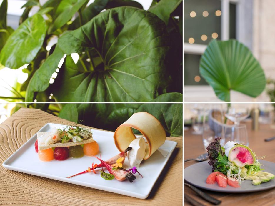 Thierry Isambert Culinary and Event Design - Miami, FL