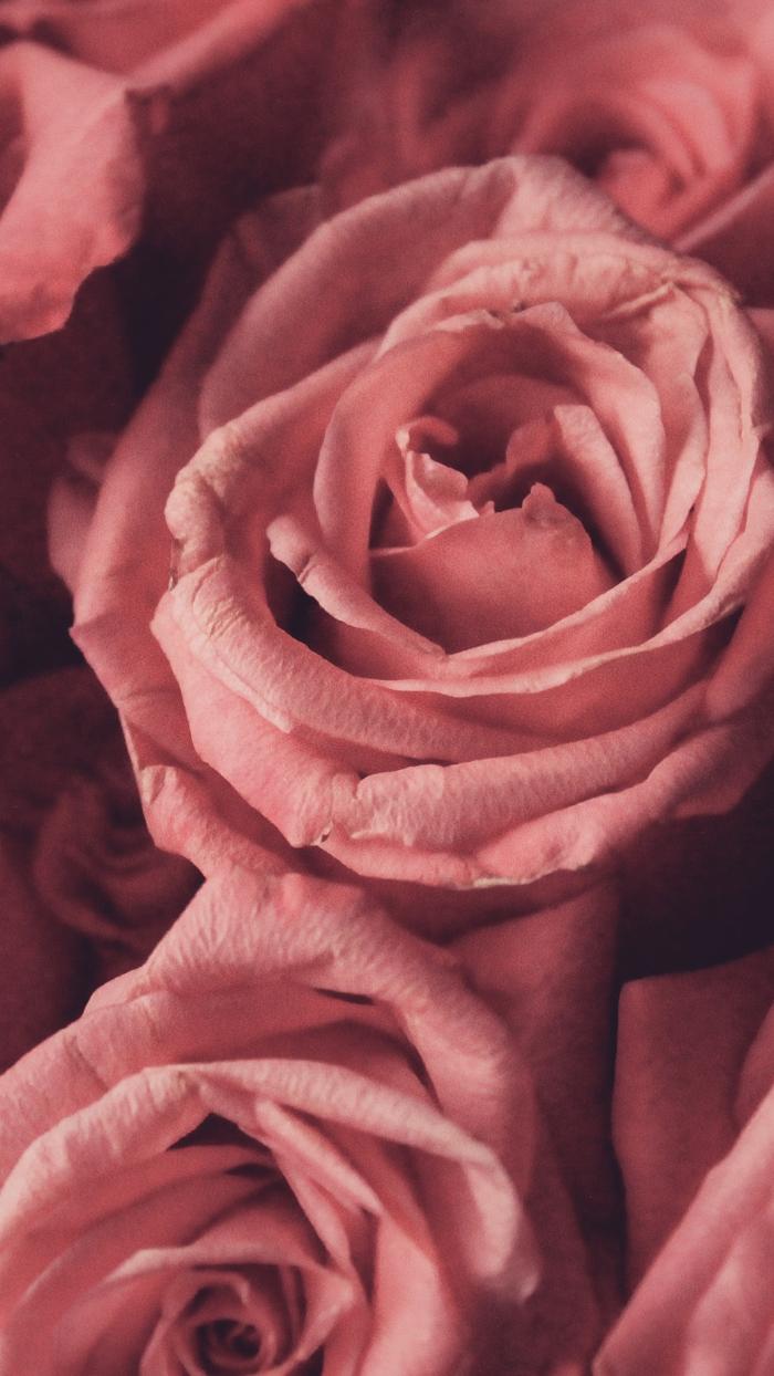 Titanic Brewery & Restaurant Image