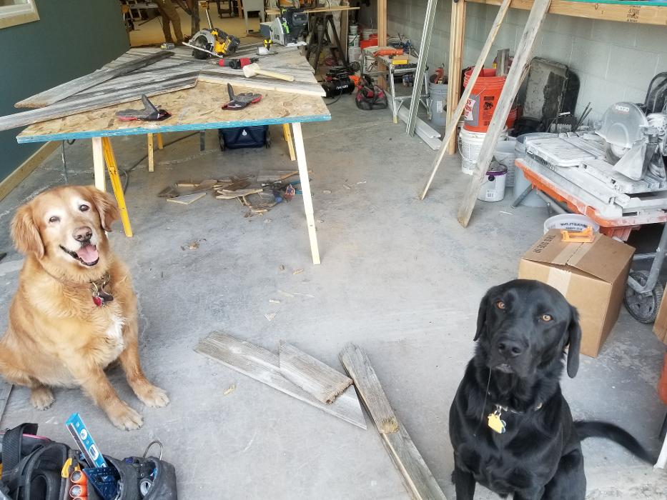 Pure Construction Denver Image