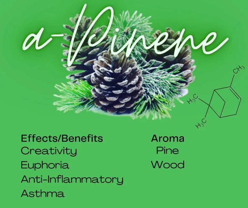 Latitude Dispensary Eldon - Eldon, MO