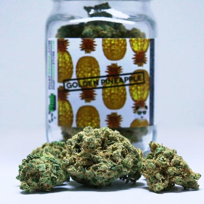 420 Capitol