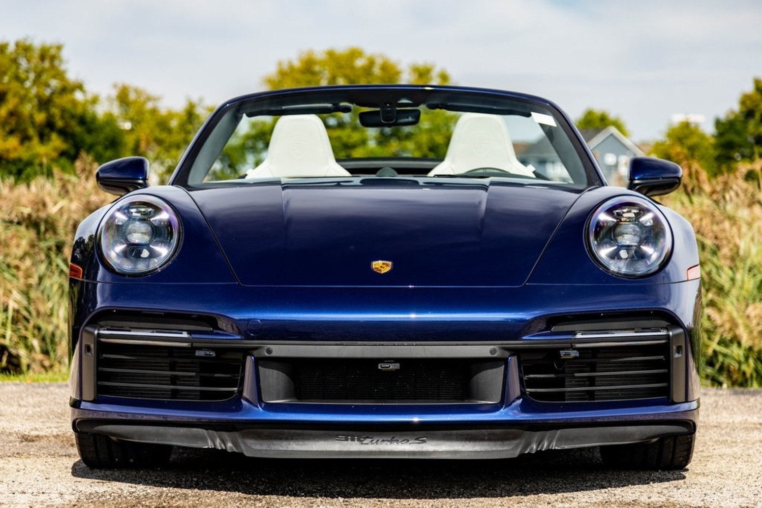 Gallery thumbnail