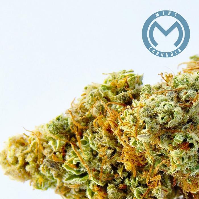 Mint Cannabis - Mt. Pleasant - Mount Pleasant, MI