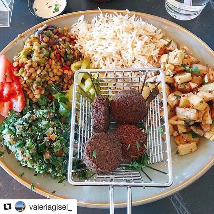 Fadi's Mediterranean Grill - Katy, TX