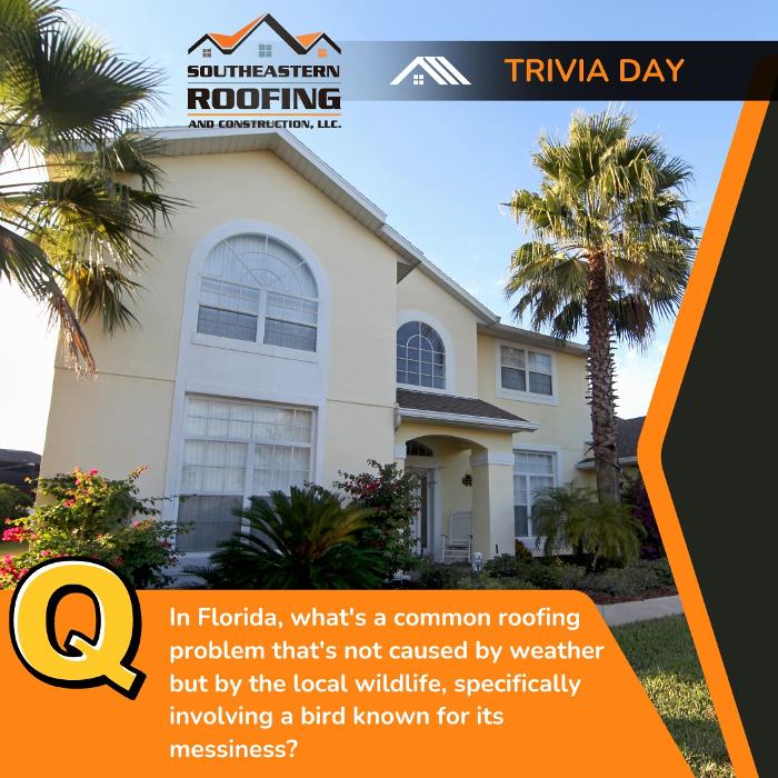 Southeastern Roofing & Construction - Dover, FL