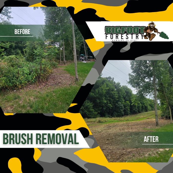 Bigfoot Forestry - Charlotte Image