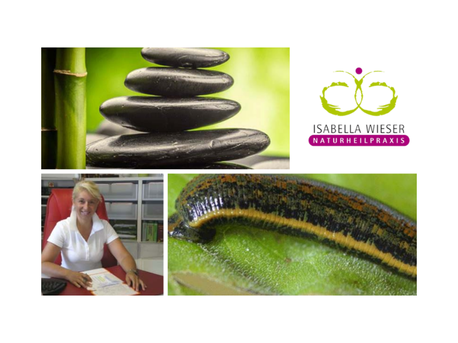 Naturheilpraxis Isabella Wieser, Herlesstraße in Diedorf