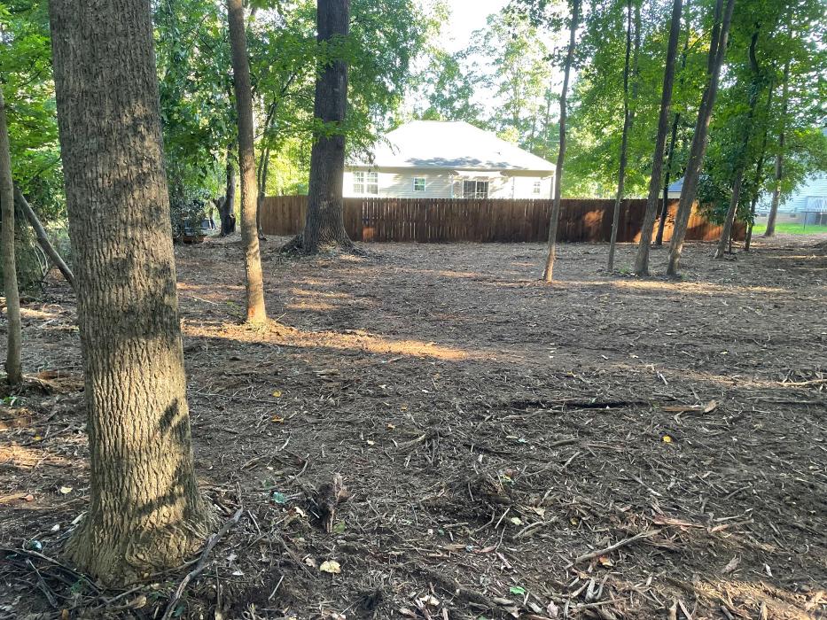 Bigfoot Forestry - Rock Hill - Rock Hill, SC