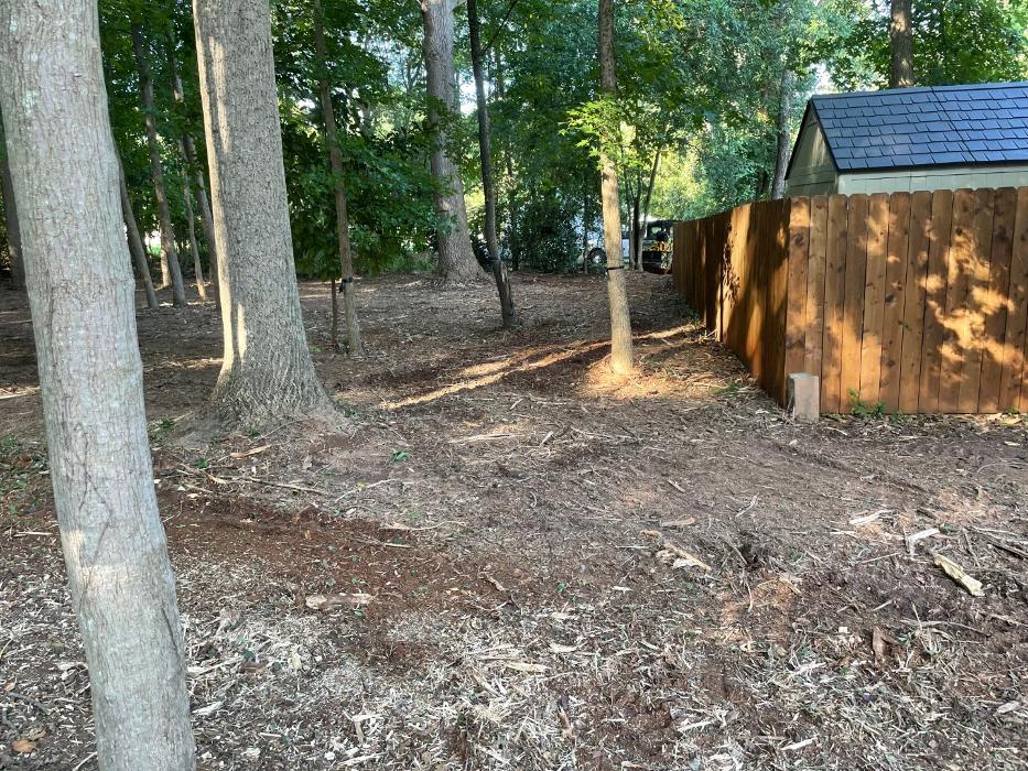 Bigfoot Forestry - Rock Hill - Rock Hill, SC