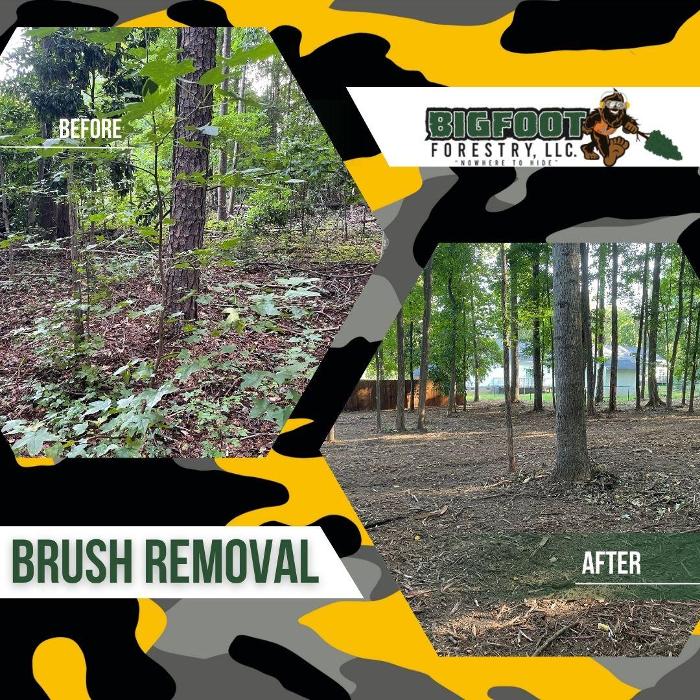 Bigfoot Forestry - Rock Hill - Rock Hill, SC