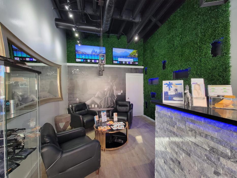 Blue Skin Laser Spa - Bronx, NY