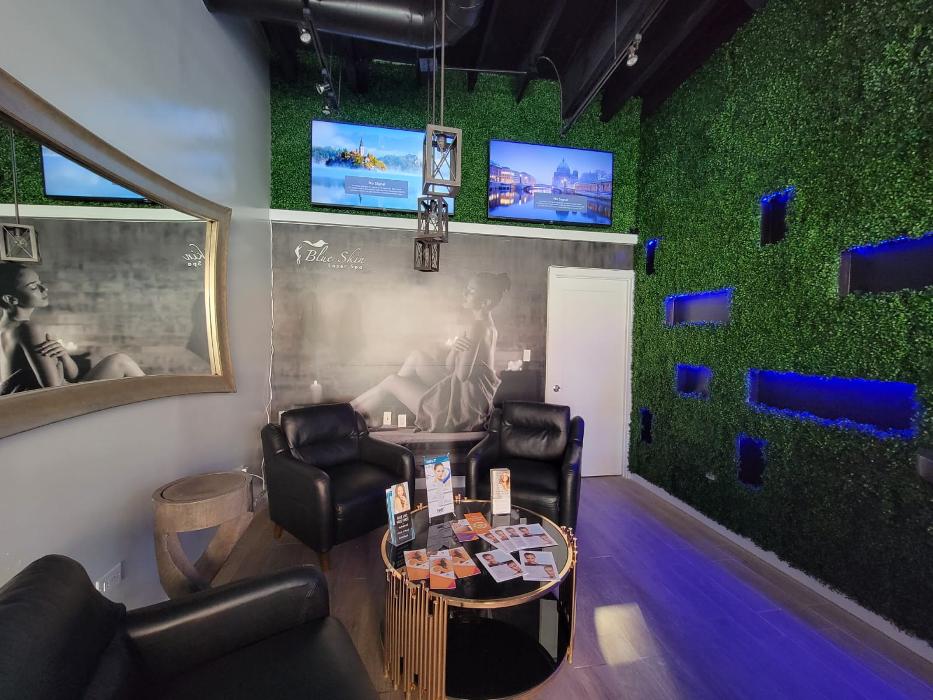 Blue Skin Laser Spa - Bronx, NY