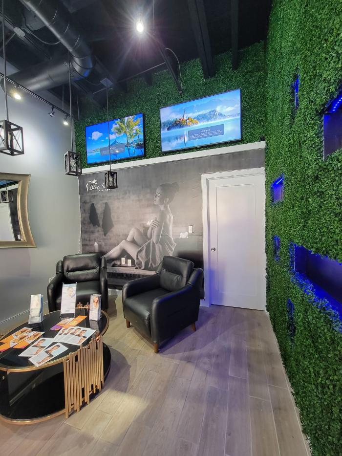 Blue Skin Laser Spa - Bronx, NY