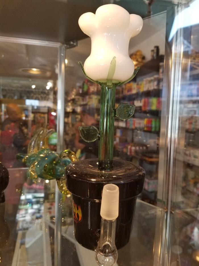 The Smoke House Smoke Shop - Fort Lauderdale, FL