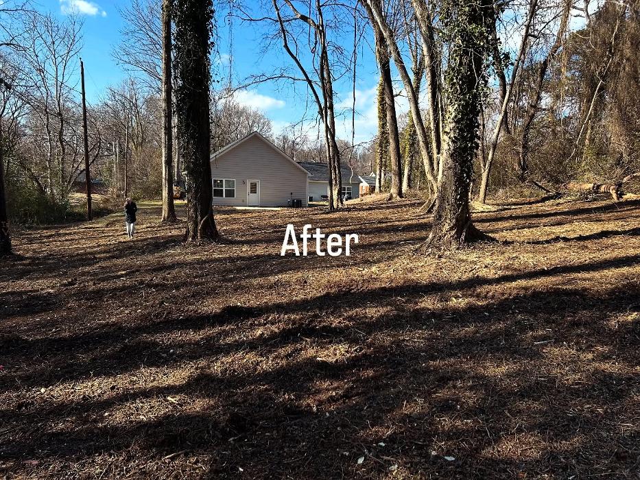 Bigfoot Forestry - Wilmington Image