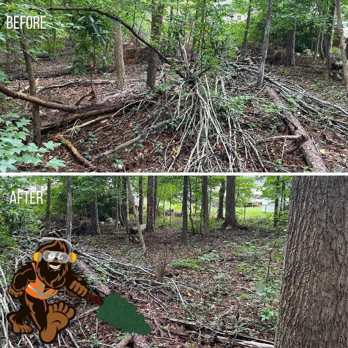 Bigfoot Forestry - Wilmington Image